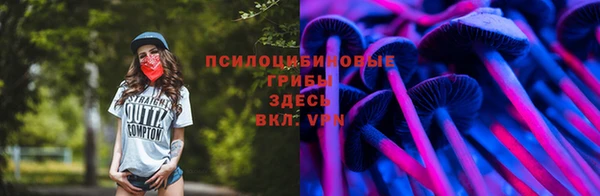 круглые Надым